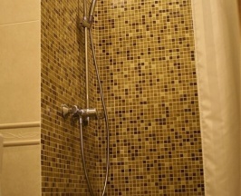 1-местный стандарт (SGL) в Гостевая изба на Истре