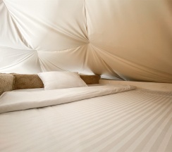 Стандартные апартаменты TWIN с двумя раздельными  или одной большой кроватью в The Garden