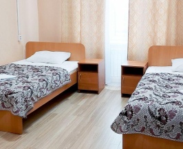 Номер эконом с 2 односпальными кроватями в Smart Hotel KDO Тамбов