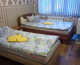 Номер стандарт с 2 односпальными кроватями в Дружба