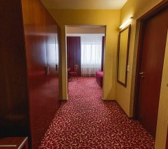 Номер стандарт с 1 двуспальной кроватью в Гранд отель Казань