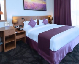 Двухместный номер Panoramic View двуспальная кровать в Park Regis Business Bay