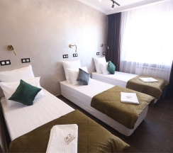 Трехместный Стандарт 210 в М2