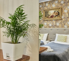 Двухместный номер категории Компакт в У семи мостов