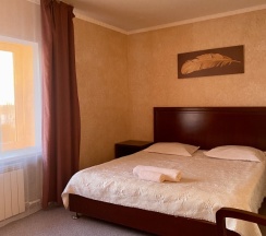 Полулюкс в Сапсан