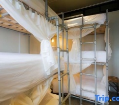 Семейный номер Deluxe в bloo Hostel