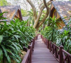 Двухместный номер Standard двуспальная кровать в Coral Island Resort