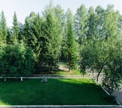 Делюкс, в Фантазия