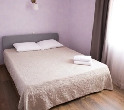 Номер комфорт с 1 двуспальной кроватью в Аракуль