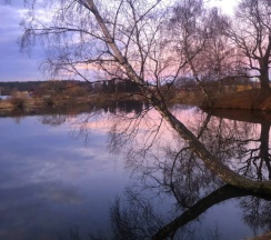 Апартаменты с 3 комнатами в Oak Glamping
