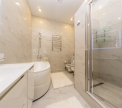 Арт - Люкс 215 в Капитан