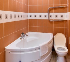 Номер стандарт с 1 двуспальной кроватью в Пантера