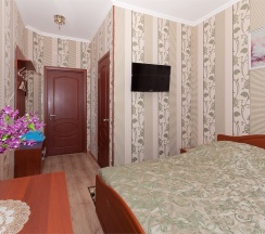 Стандарт плюс в Династия