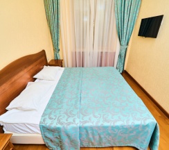 Стандарт двухместный в Симбирск