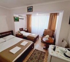 4-местный номер комфорт семейный в Золотой Лев