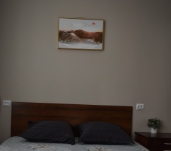 Номер I категории (Стандарт) № 2 в Горизонт