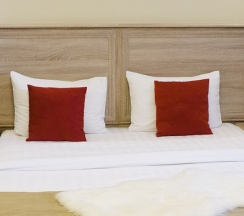 Премиум комната в Кауфман хаус