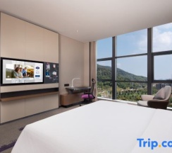 Люкс в Hampton by Hilton Huzhou Deqing Moganshan