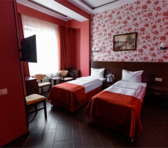 Стандарт с двумя раздельными кроватями в Art hotel