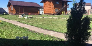 Белокуриха: Турбаза Гостевой двор