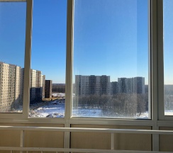 Квартира в Апартаменты на Московская область, Ленинский район, деревня Мисайлово, Пригород Лесное, Пригородное шоссе дом 10