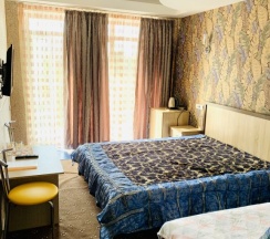 Двухместный номер Deluxe с балконом двуспальная кровать в 222