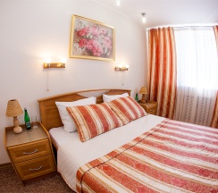 Люкс в Царицынская