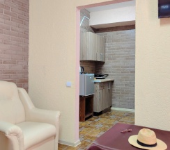 4х местная Студия с мини-кухне и террасой  в Благовещенка