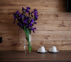 Улучшенный Плюс в Veranda