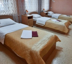 3-местный номер стандарт в Smart Hotel KDO Орел