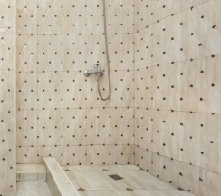 Четырёхместный люкс в Green rent