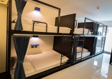 Кровать в общем номере в BearPacker Patong Hostel