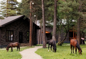 Отель Konak house в Архызе