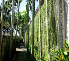 Двухместный номер Deluxe с видом на бассейн двуспальная кровать в Signature Phuket Resort