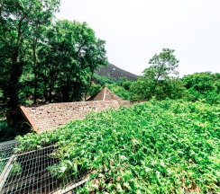 Джуниор сюит дом №5 в Лесная заимка