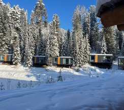 Полулюкс новый в Телецкое Золотое