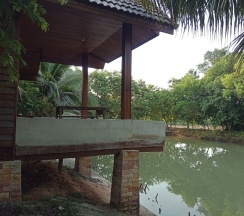 Трёхместный номер Standard в Home Style Resort