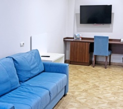 Стандарт однокомнатный (улучшенный) в Династия