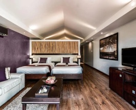 Двухместный люкс Deluxe (2 отдельные кровати) в Barcelo Coconut Island