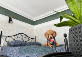 Апартаменты Апартаменты на Кирова 70 в Краснодаре