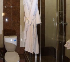 Номер полулюкс улучшенный с 1 двуспальной кроватью в Гранат