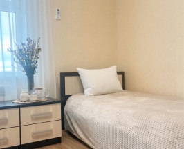 2-местный номер стандарт с 2 односпальными кроватями в Поветлужье