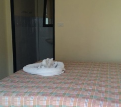 Двухместный номер Standard с балконом двуспальная кровать в Khaolak Summer House Resort