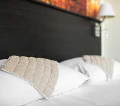 Двухместный номер Superior двуспальная кровать в Comfort Hotel LT - Rock 'n' Roll Vilnius
