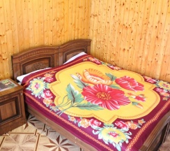 Стандартный 2-х местный номер с балконом и видом на сад в Аида