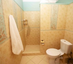 Двухместный номер Делюкс с одной двуспальной кроватью в Дубровский