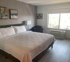 Двухместный номер Standard двуспальная кровать в SureStay Plus Hotel by Best Western Scottsdale North (ex.Fairfield Inn by Marriott Scottsdale North)