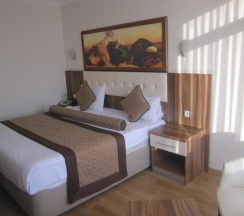 Двухместный номер Standard двуспальная кровать в Alican Hotel