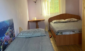 Трехместный номер с двуспальной и односпальной кроватью в Алтайские Дачи