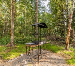 Купол «Карельский лес» в Aldi-Karelia